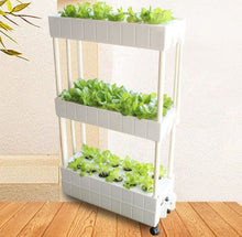 Load image into Gallery viewer, Movable smart planter for home use vertical horticultural hydroponics system with grow lights
