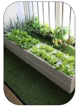 Load image into Gallery viewer, Movable smart planter for home use vertical horticultural hydroponics system with grow lights
