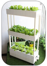Load image into Gallery viewer, Movable smart planter for home use vertical horticultural hydroponics system with grow lights
