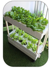 Load image into Gallery viewer, Movable smart planter for home use vertical horticultural hydroponics system with grow lights
