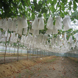 50Pcs/Lot Garden Vegetable Grapes bags Apples Fruit Protection Bag Pouch Agricultural Pest Control Anti-Bird Mesh Bags 18 x 20cm