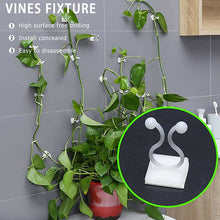 Load image into Gallery viewer, 10/20/50pcs Plant Climbing Wall Clip Invisible Wall Vines Fixture Wall Sticky Hook Holder Plant Cages &amp; Supports
