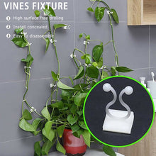 Load image into Gallery viewer, 10/20/50pcs Plant Climbing Wall Clip Invisible Wall Vines Fixture Wall Sticky Hook Holder Plant Cages &amp; Supports

