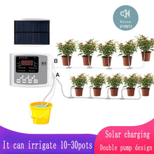Load image into Gallery viewer, Garden Drip Irrigation Device Double Pump Controller Timer System Solar Energy Intelligent Automatic Watering Device for Plants
